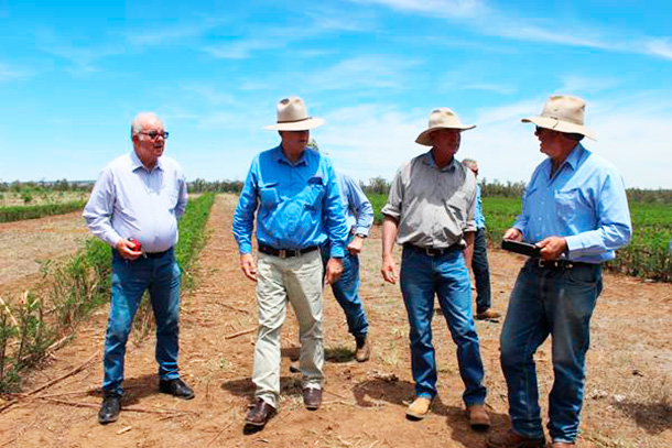 Members of the NSW National Party's Primary Industry Resources and Energy Policy Committee and Santos’ Mark Rodgers with forage crops irrigated using treated water from coal seams.